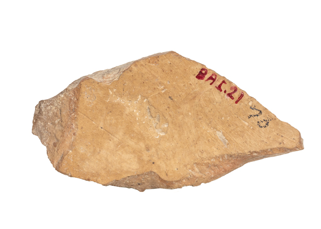 mh_21_b_ai_71_v1_01.jpg