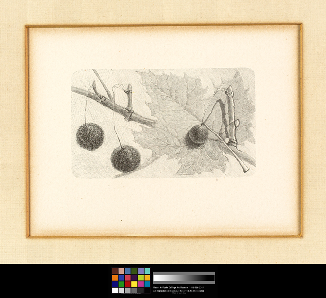 mh_1901_5_168_i_b_rii_v1_01.jpg