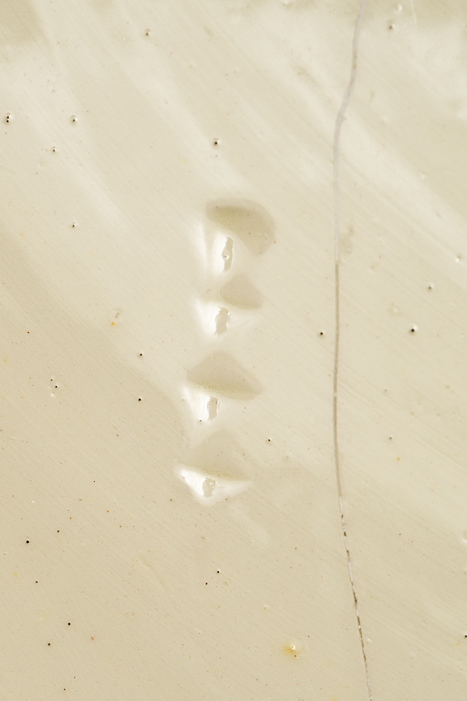 1130-3_V1f.jpg