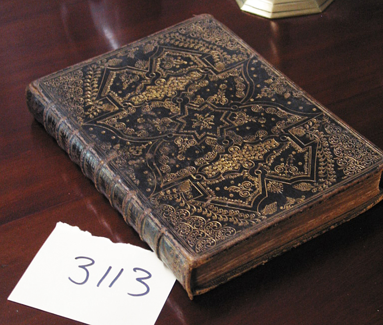 3113_quickf.jpg