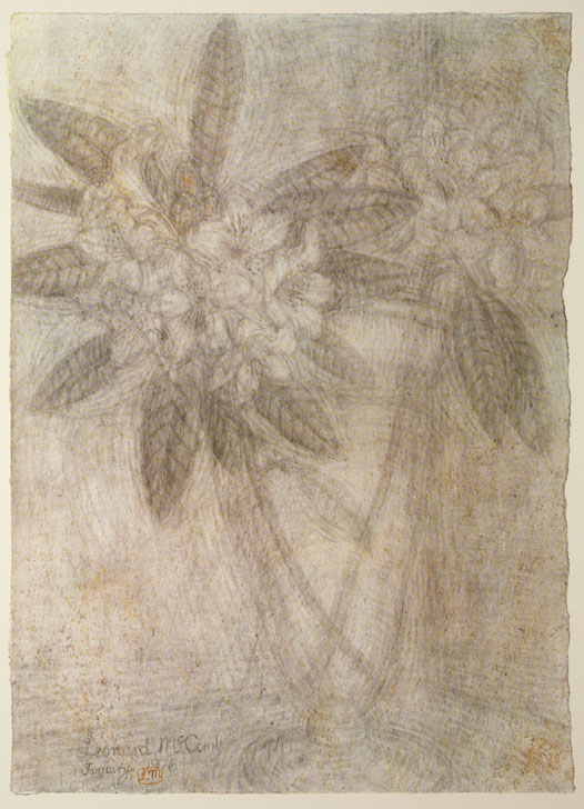 mh_1980_36_5_v1_01.jpg