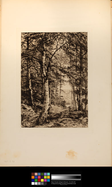 mh_1991_3_2a_v1_01.jpg