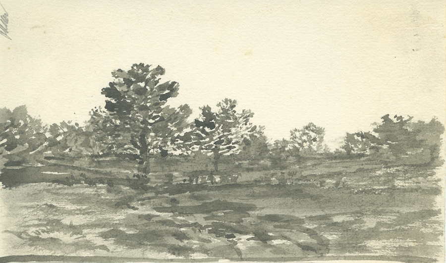 1930_3_135_10R.jpg
