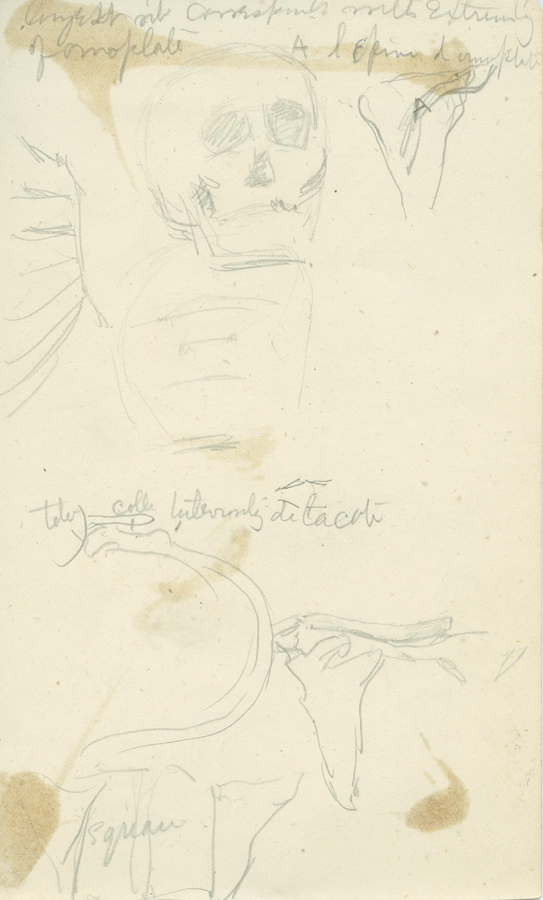 1930_3_135_10R.jpg