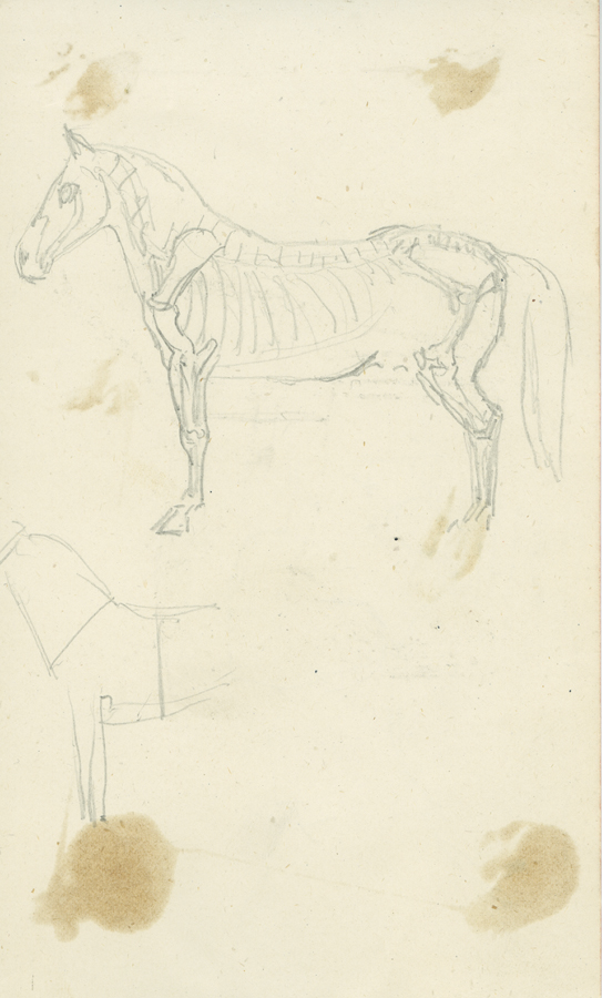 1930_3_135_10R.jpg