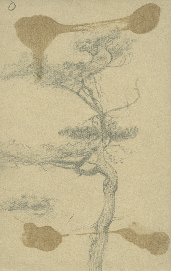 1930_3_135_10R.jpg