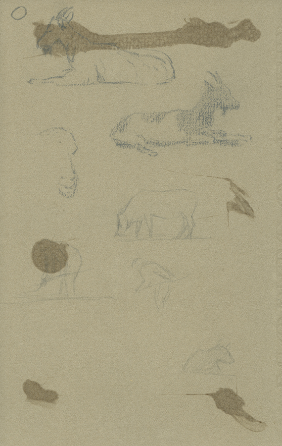 1930_3_135_10R.jpg