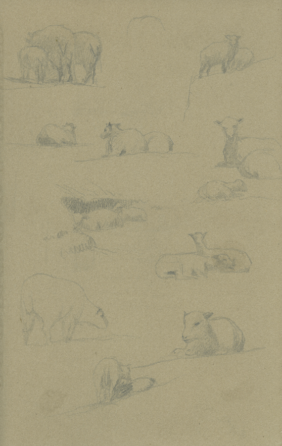 1930_3_135_10R.jpg