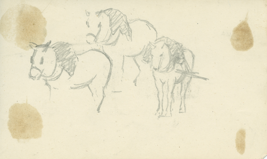 1930_3_135_10R.jpg