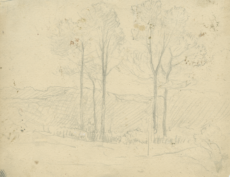 1930_3_135_10R.jpg