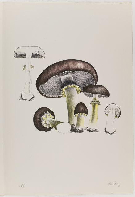 mh_1984_20_1_1_10_1a_10a_v1_01.jpg