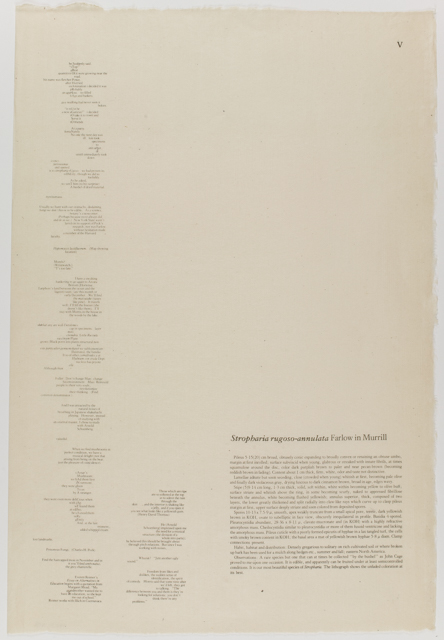 mh_1984_20_1_1_10_1a_10a_v1_01.jpg
