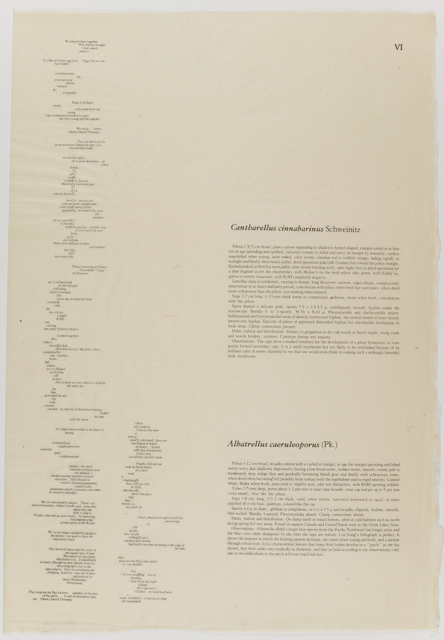 mh_1984_20_1_1_10_1a_10a_v1_01.jpg