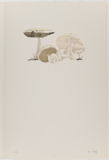 mh_1984_20_1_1_10_1a_10a_v1_01.jpg