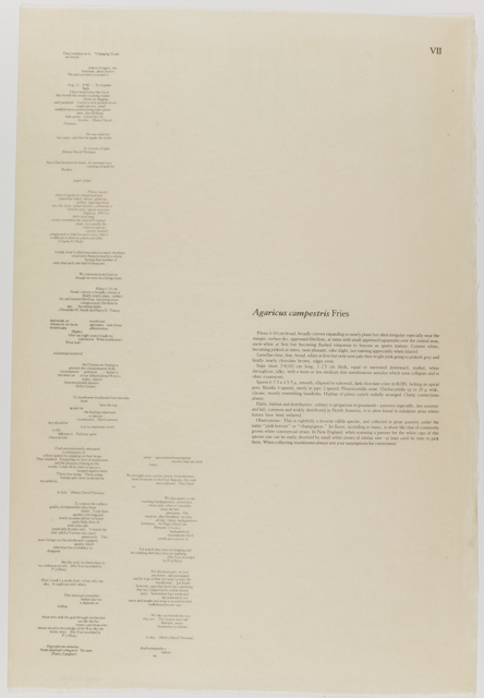mh_1984_20_1_1_10_1a_10a_v1_01.jpg