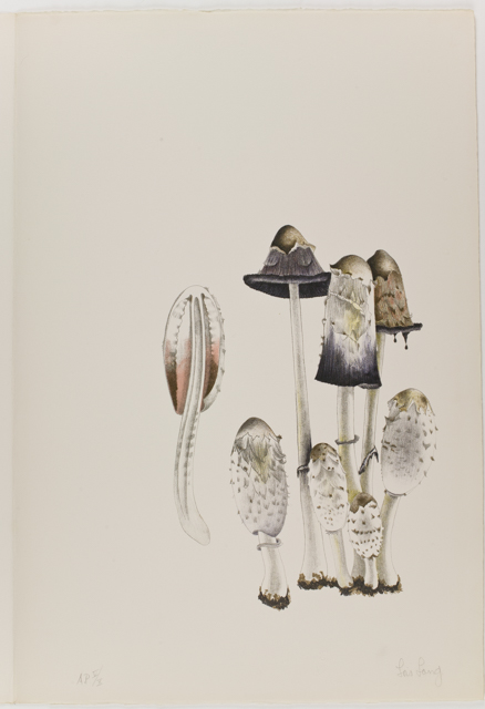 mh_1984_20_1_1_10_1a_10a_v1_01.jpg