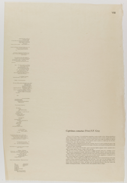 mh_1984_20_1_1_10_1a_10a_v1_01.jpg