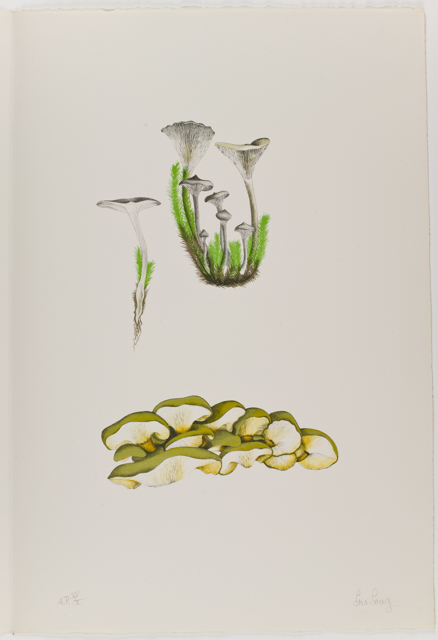 mh_1984_20_1_1_10_1a_10a_v1_01.jpg