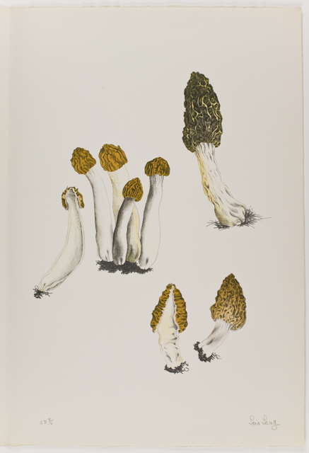 mh_1984_20_1_1_10_1a_10a_v1_01.jpg