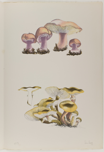 mh_1984_20_1_1_10_1a_10a_v1_01.jpg