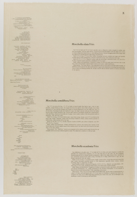 mh_1984_20_1_1_10_1a_10a_v1_01.jpg