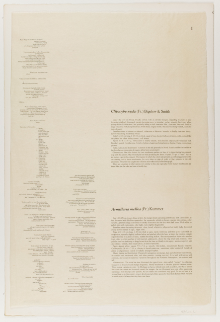 mh_1984_20_1_1_10_1a_10a_v1_01.jpg