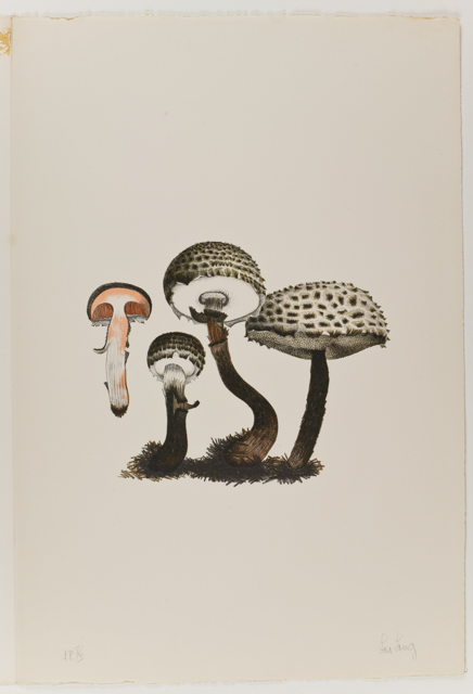 mh_1984_20_1_1_10_1a_10a_v1_01.jpg
