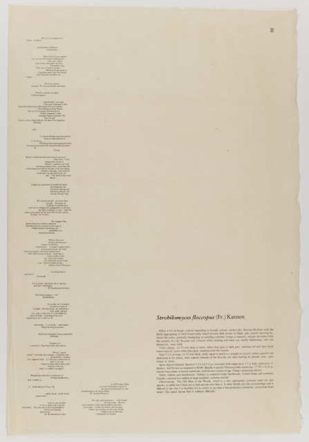 mh_1984_20_1_1_10_1a_10a_v1_01.jpg
