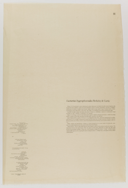 mh_1984_20_1_1_10_1a_10a_v1_01.jpg