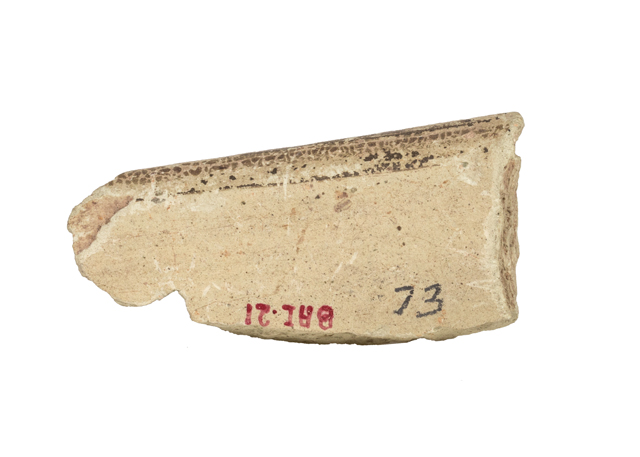 mh_21_b_ai_71_v1_01.jpg
