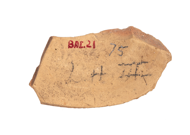 mh_21_b_ai_71_v1_01.jpg