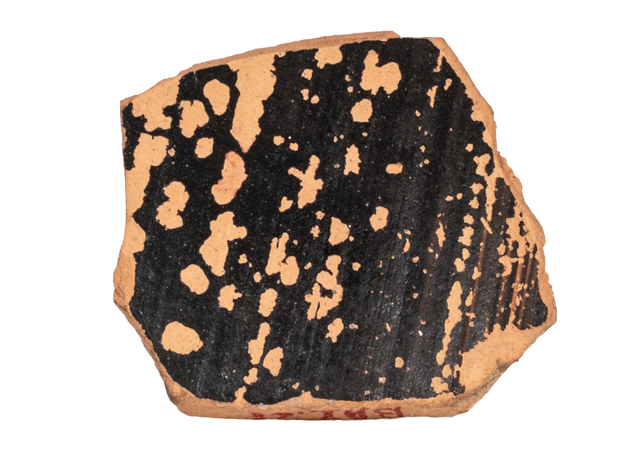 mh_21_b_ai_71_v1_01.jpg