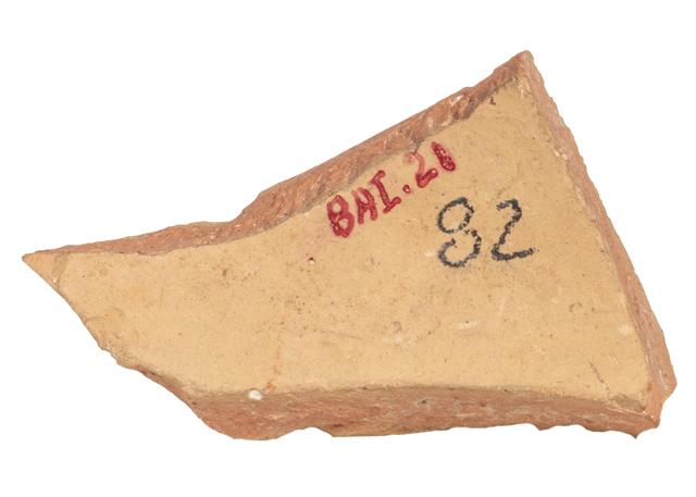 mh_21_b_ai_71_v1_01.jpg