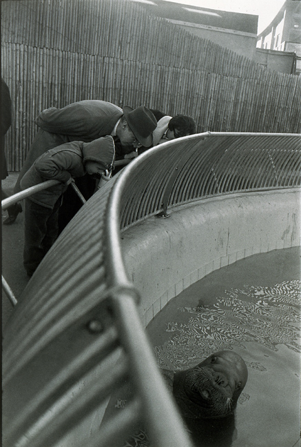 1979-23-8.jpg