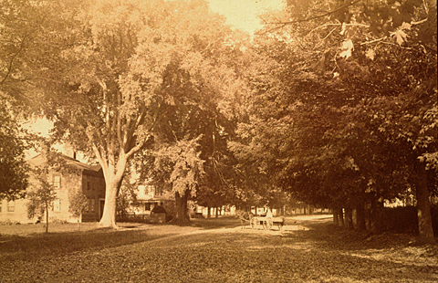 1994-28-26F.jpg
