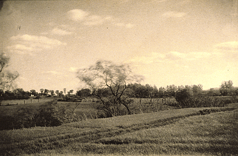 1994-28-39F.jpg