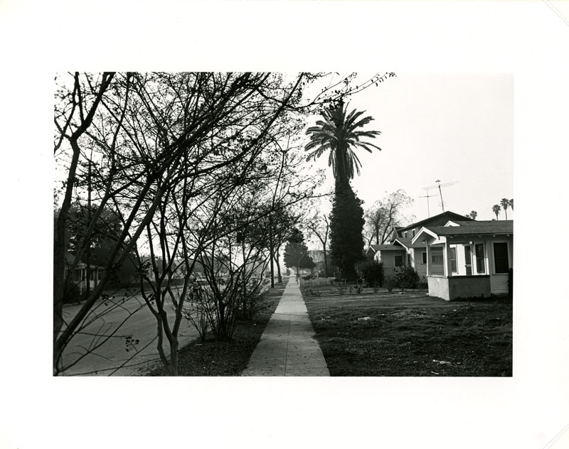 1985-8-35.jpg