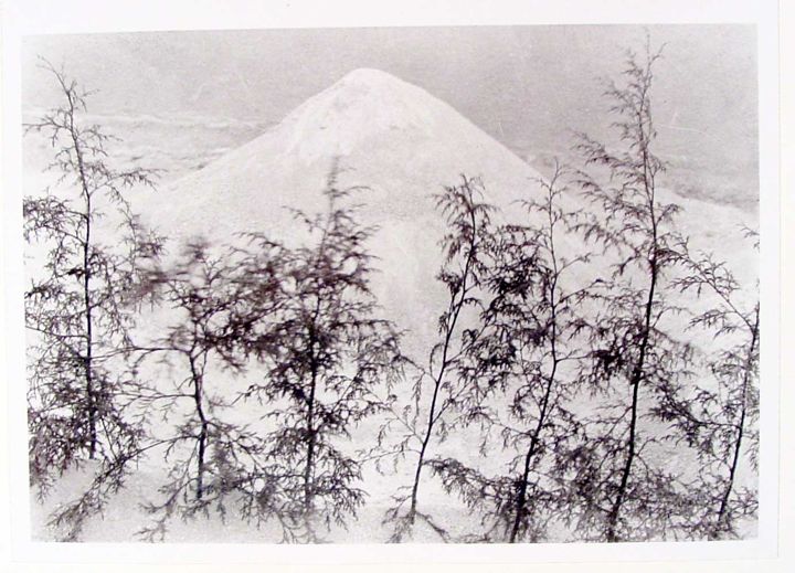 HC_1981_2_01_v1_01.jpg