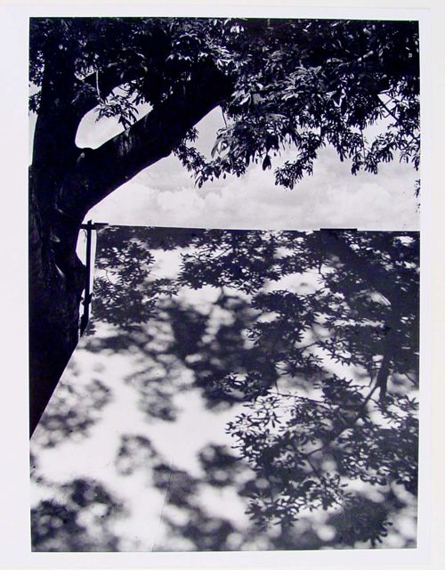 HC_1981_2_04_v1_01.jpg