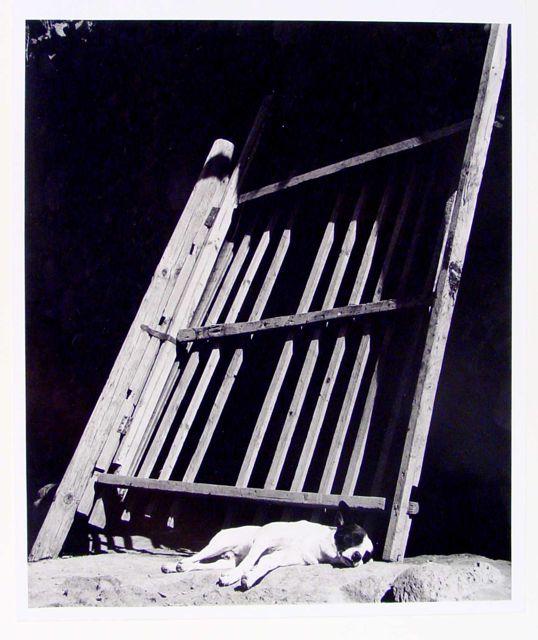 HC_1981_2_09_v1_01.jpg