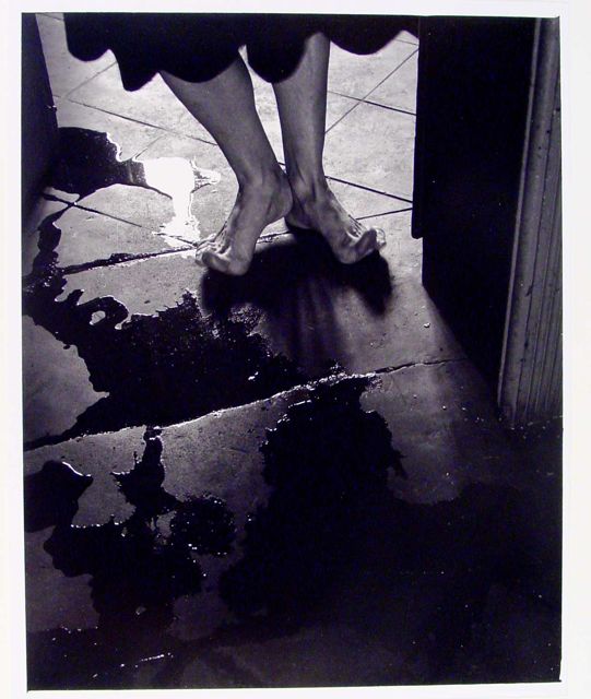 HC_1981_2_14_v1_01.jpg