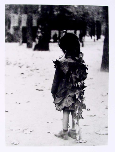 A child stands with their back to the viewer, wearing a costume made of leaves. The background includes trees and a ground covered in fallen leaves, creating a park-like setting. The scene features soft textures and depth from the distant trees.