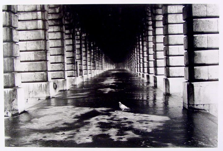 A long corridor with tall, rectangular stone columns on either side. The wet floor reflects the columns, creating depth. A single pigeon is located near the center of the corridor. The image is in black and white, highlighting the architectural shapes and textures.