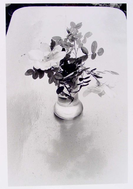 A round, smooth vase sits on a flat surface, reflecting its shape. The vase contains a bouquet of flowers with multiple petals and various green leaves, some of which have jagged edges. T