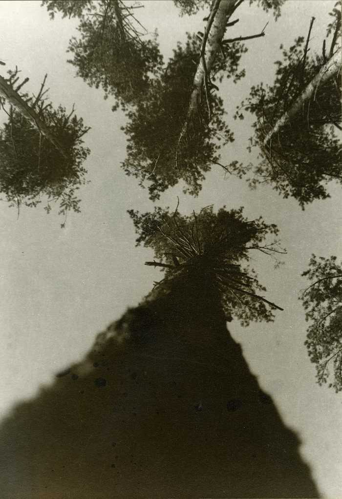 © Estate of Alexander Rodchenko/Licensed by VAGA at Artists Rights Society (ARS), NY