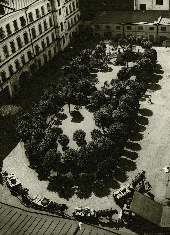 © Estate of Alexander Rodchenko/Licensed by VAGA at Artists Rights Society (ARS), NY